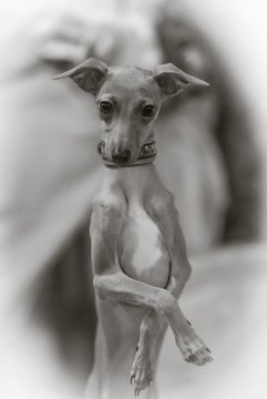 Ausschnitte 1351 - Sparkassen Pokal Marne